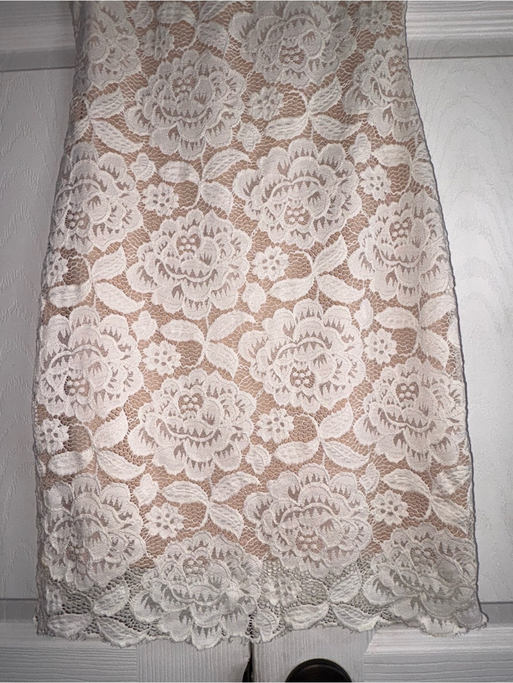 Sans Souci Ivory Floral Lace Dress - Picture 3 of 16